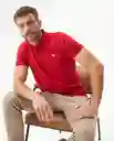 Camiseta Polo Muscle Masculino Rojo Navidad Medio L Chevignon
