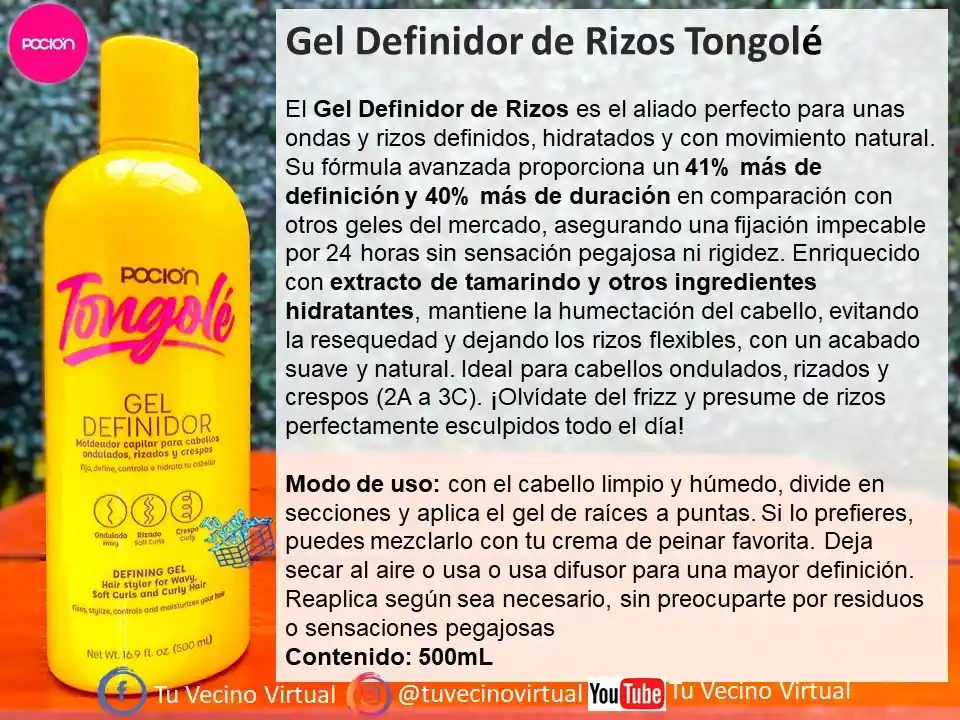 Shampoo, Tratamiento Acondicionador Y Gel Definidor De Rizos Pocion