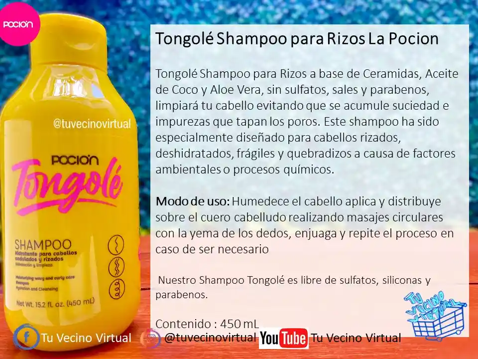 Shampoo, Tratamiento Acondicionador Y Gel Definidor De Rizos Pocion