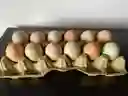 Huevos Criollos Medianos