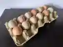 Huevos Criollos Medianos