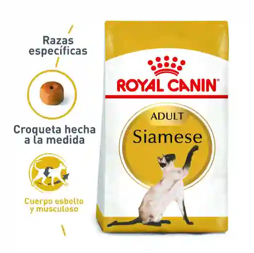Royal Canin Gato Persian Adulto - 2 Kg