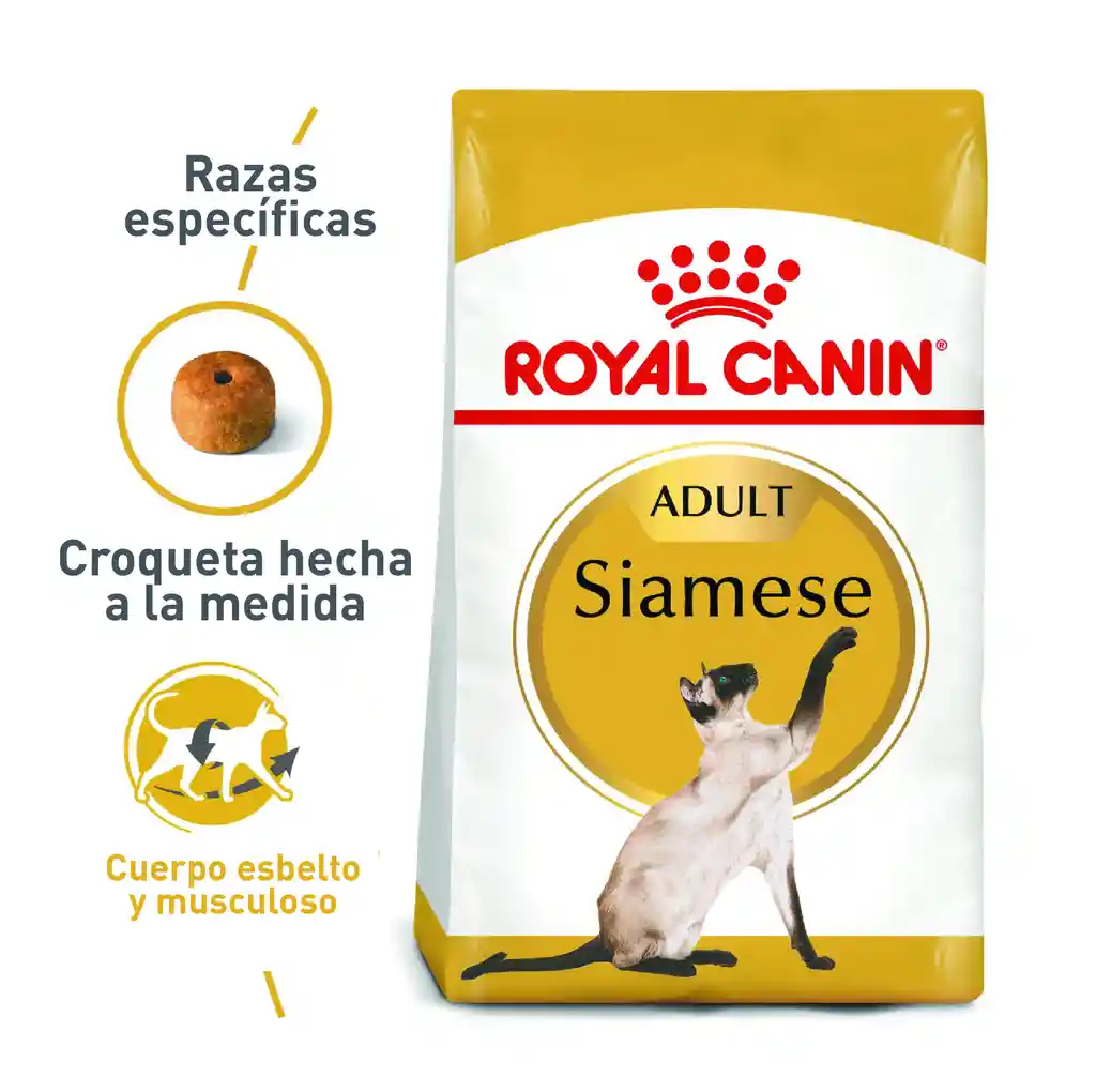 Royal Canin Gato Persian Adulto - 2 Kg