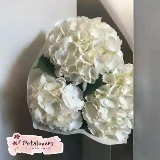 Flores Bouquet De 3 Hortensias