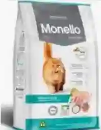 Monello Gato Adulto