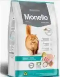 Monello Gato Adulto