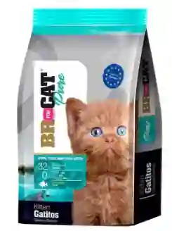 Br For Cat Kitten Salmón