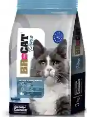 Br For Cat Castrado Salmón