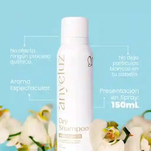 Anyeluz Shampoo En Seco
