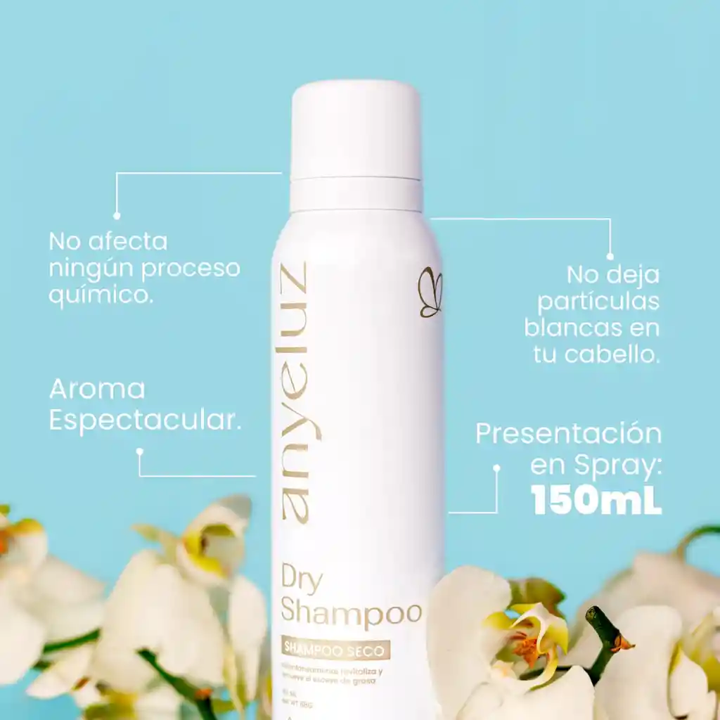 Anyeluz Shampoo En Seco