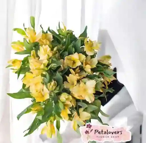 Flores Bouquet De Astromelias Amarillas Dia De La Madre