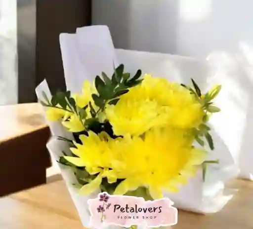Flores Margaritas