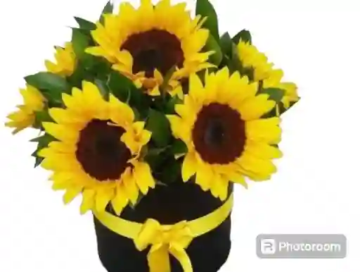 Cilindro De Girasoles - Arreglo De Girasoles - Arreglo De Flores - Arreglo Floral Para Mujer