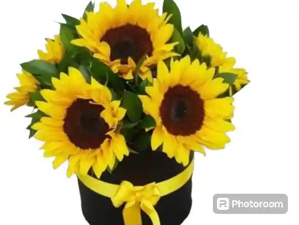 Cilindro De Girasoles - Arreglo De Girasoles - Arreglo De Flores - Arreglo Floral Para Mujer
