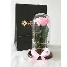 Rosa Preservada