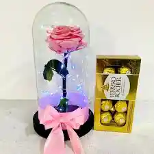 Rosa Preservada