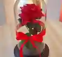 Rosa Preservada