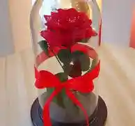 Rosa Preservada