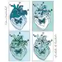 Kit De Arte-terapia: Me Elijo 25x35cm + Tranquilidad