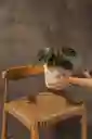 Spoon Cilindro