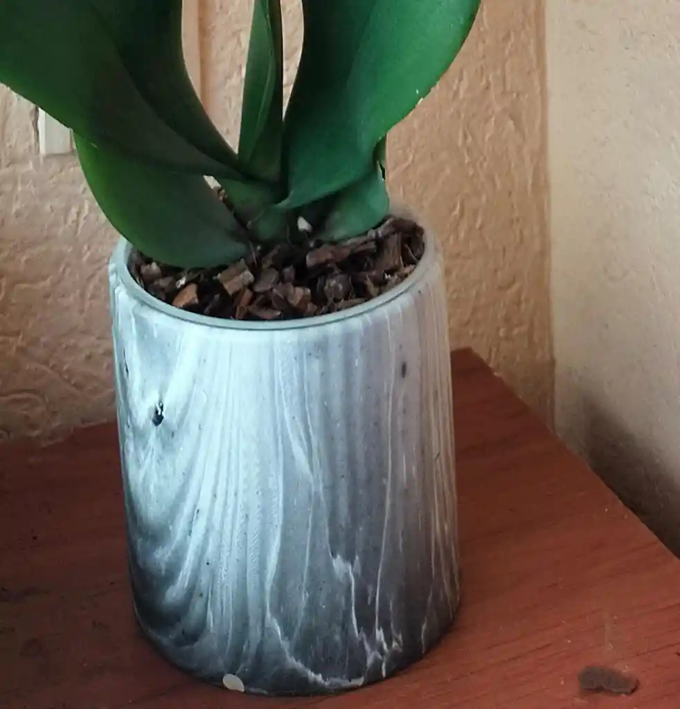 Orquidea Phalaenopsis 2 Varas Color Especial