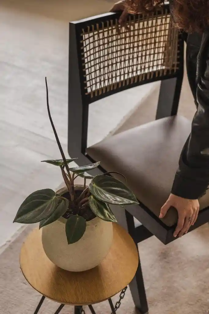 Spoon Mini Gota