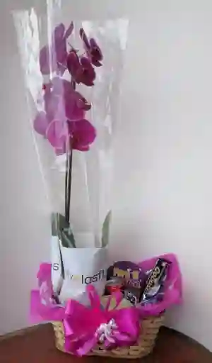 Canasta Con Orquidea Y Dulces