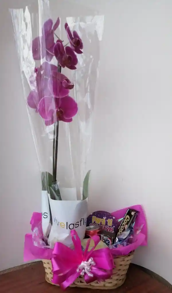 Canasta Con Orquidea Y Dulces
