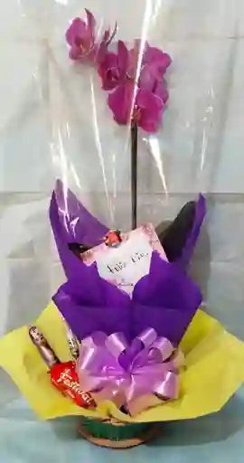 Arreglo Floral Con Orquidea Phalaenopsis