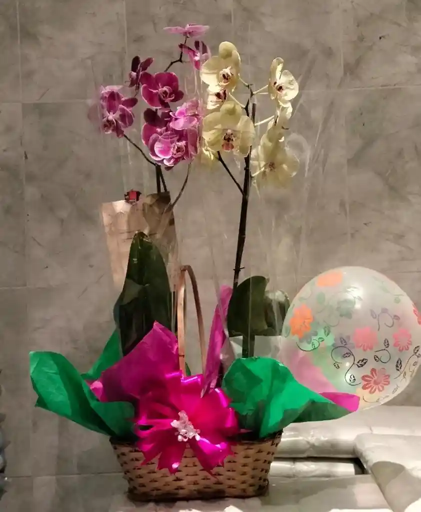 Canasta De Orquideas Grande