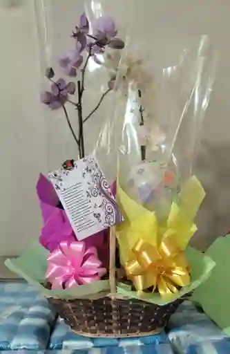 Canasta De Orquideas Grande