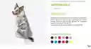 Impermeable Para Perro Color Rosado Talla Xxxl