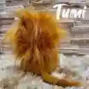 Peluche De León