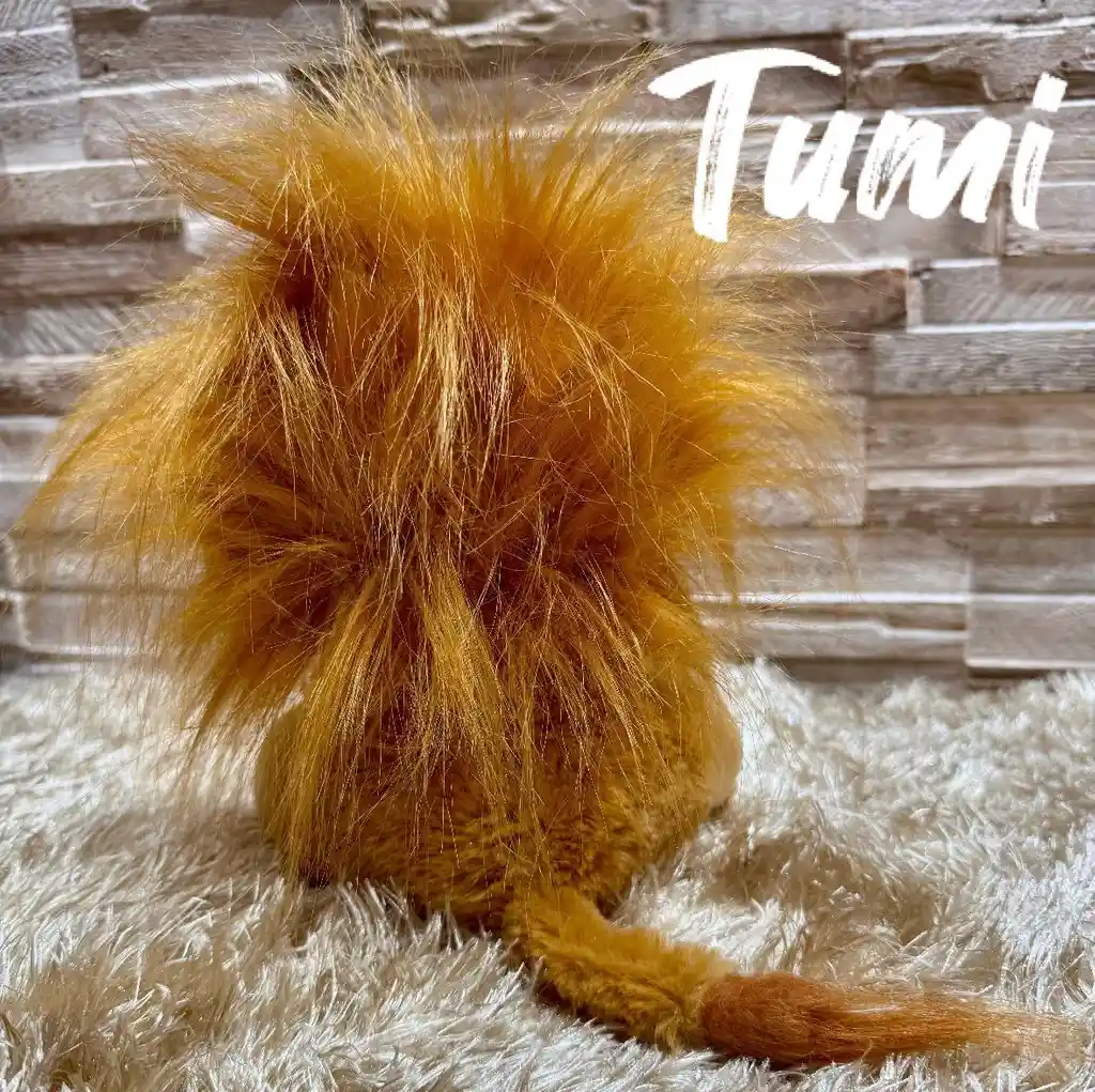 Peluche De León