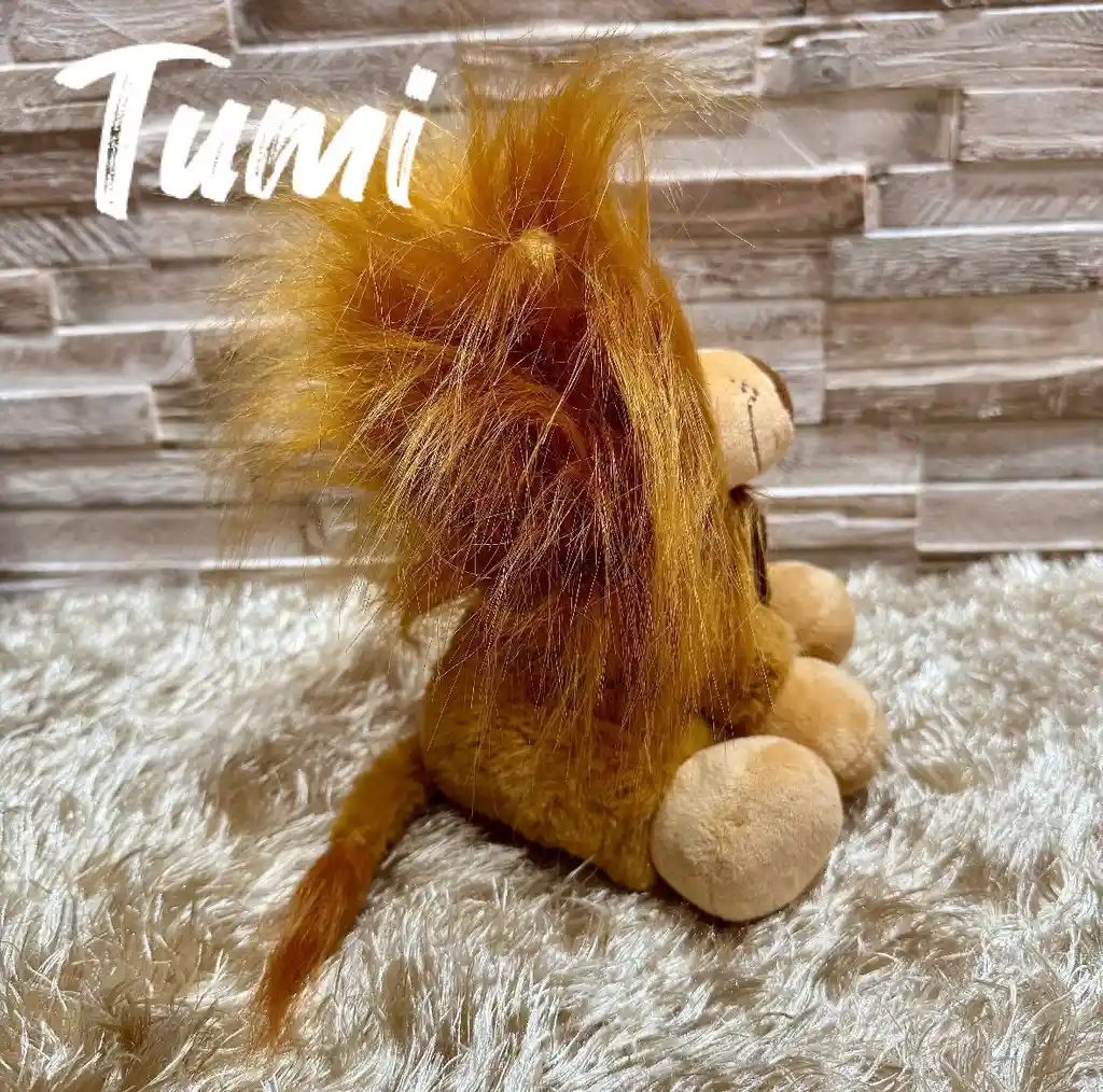 Peluche De León
