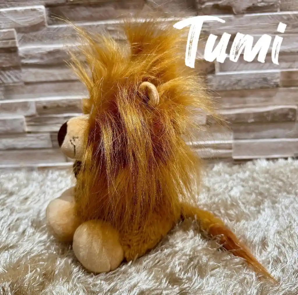 Peluche De León