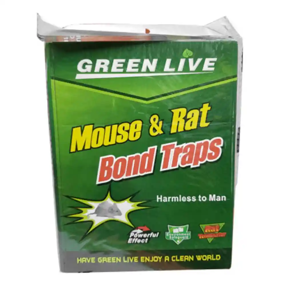Pega Raton Mouse Y Rat Grande 804a