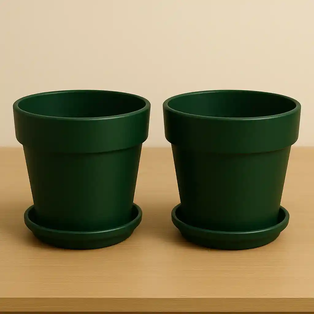 Combo 8 X2 Matera+plato Verde #16