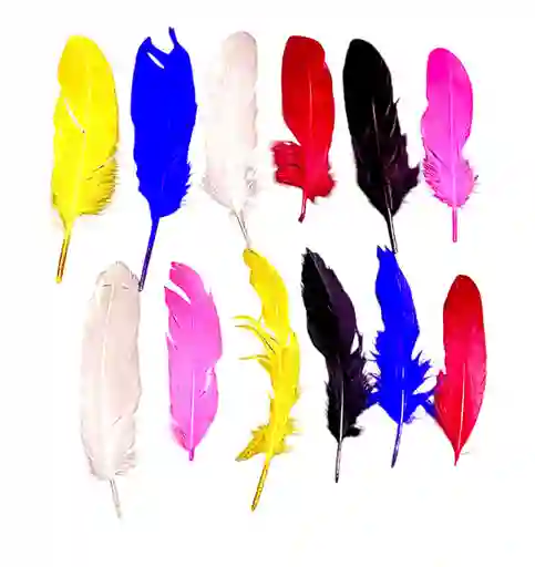 Pluma De Colores Paquete X 12 Unidades 16 A 19 Cm