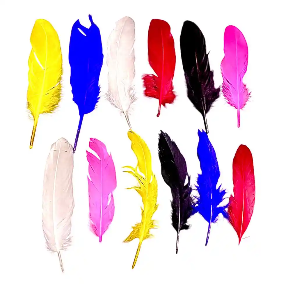 Pluma De Colores Paquete X 12 Unidades 16 A 19 Cm