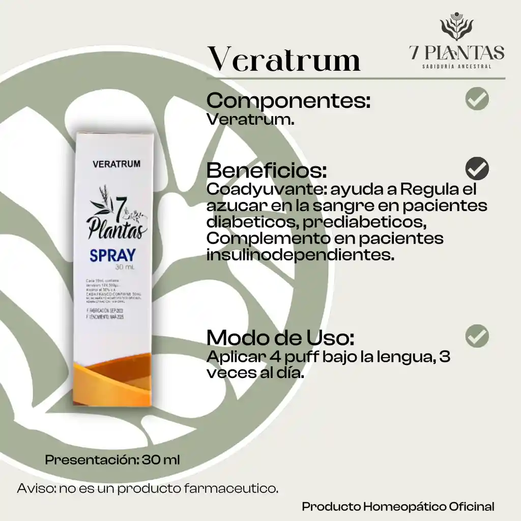 Veratrum