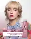 Shampoo Color Guard Salon In Recamier X300 Ml Sin Sal
