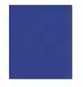 Cartulina Iris Color Azul Oscuro 1/2 Pliego