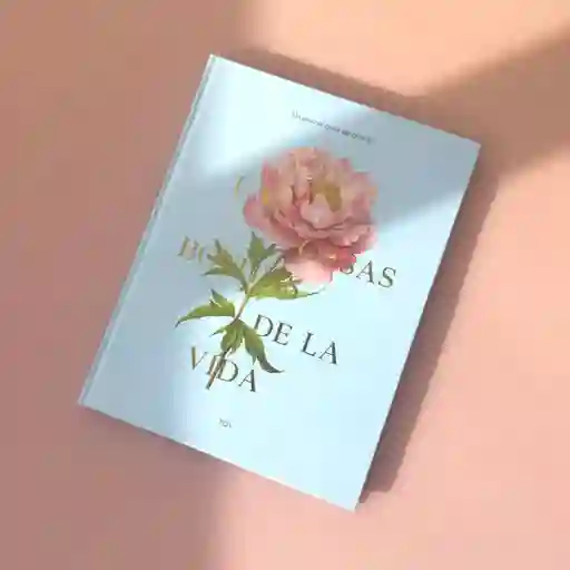 Journal De Gratitud