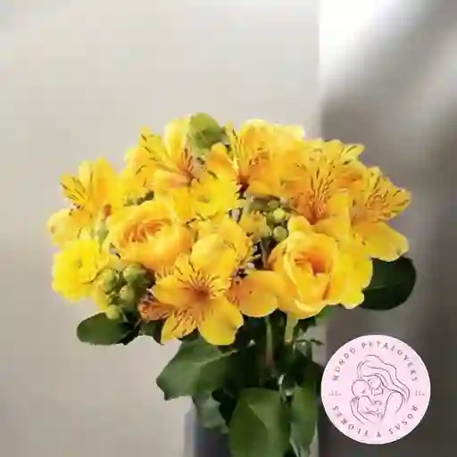 Flores Y Rosas Astromelias Amarillas