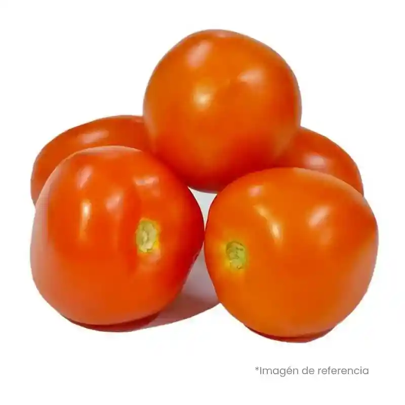 Tomate Chonto
