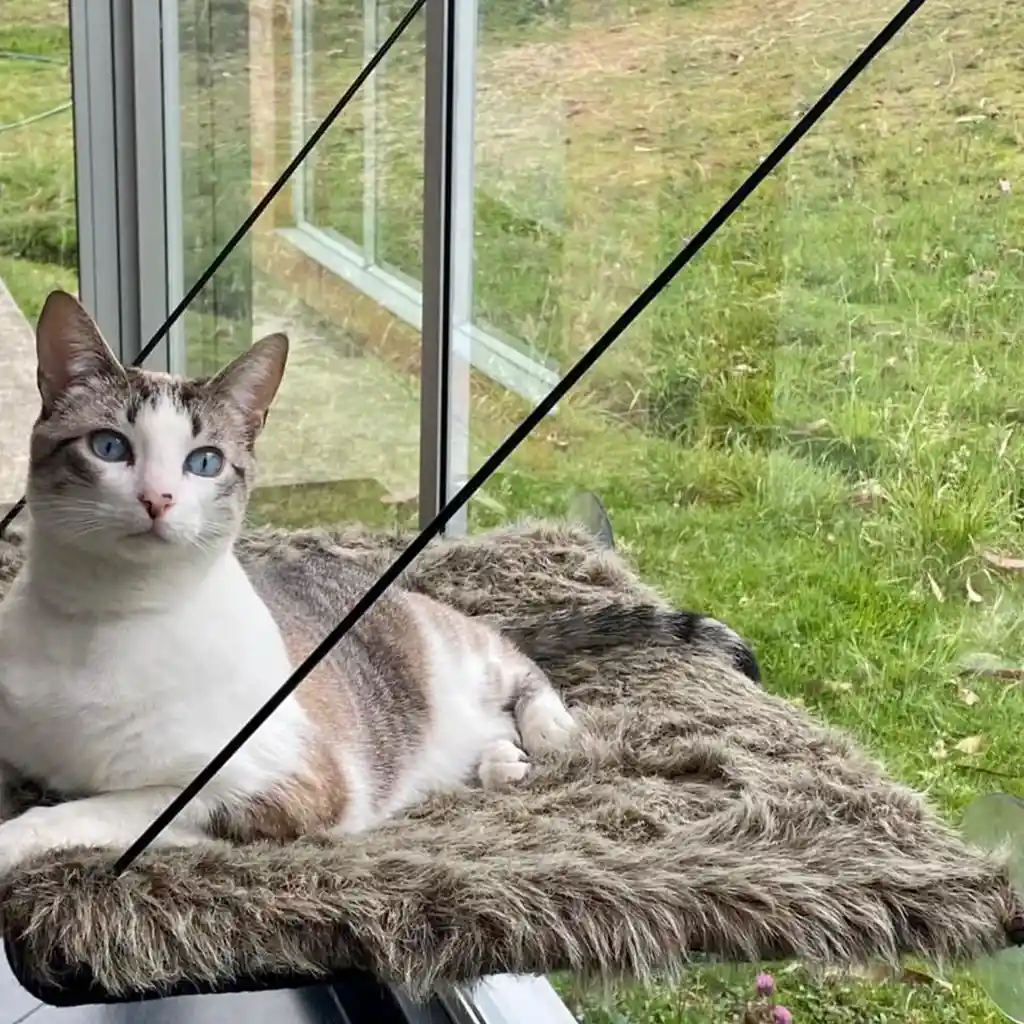 Hamaca Peluche Flotante