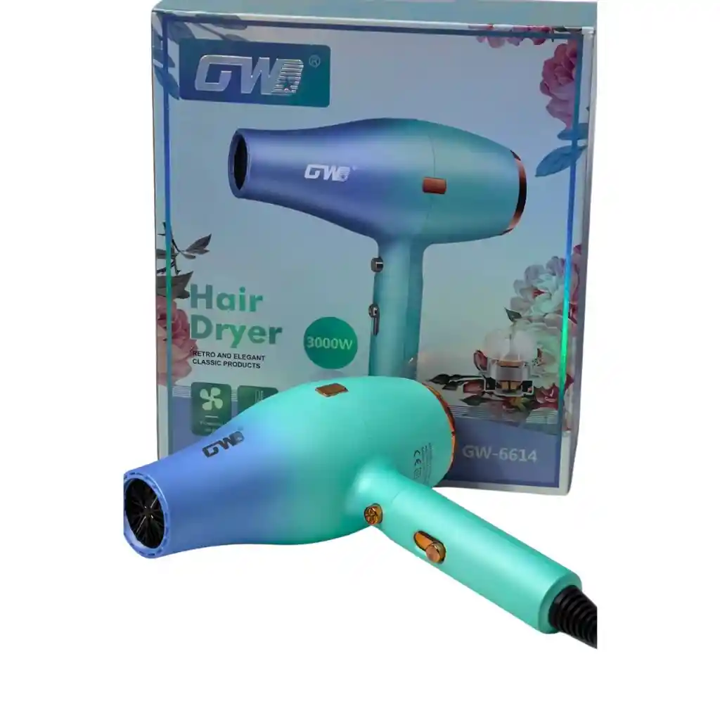 Secador De Cabello Gw-6614 Diseño Moderno