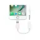 Adaptador Lightning Jack 3.5 Tipo Apple