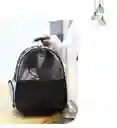 Morral Mitad Transparente Cara De Gato